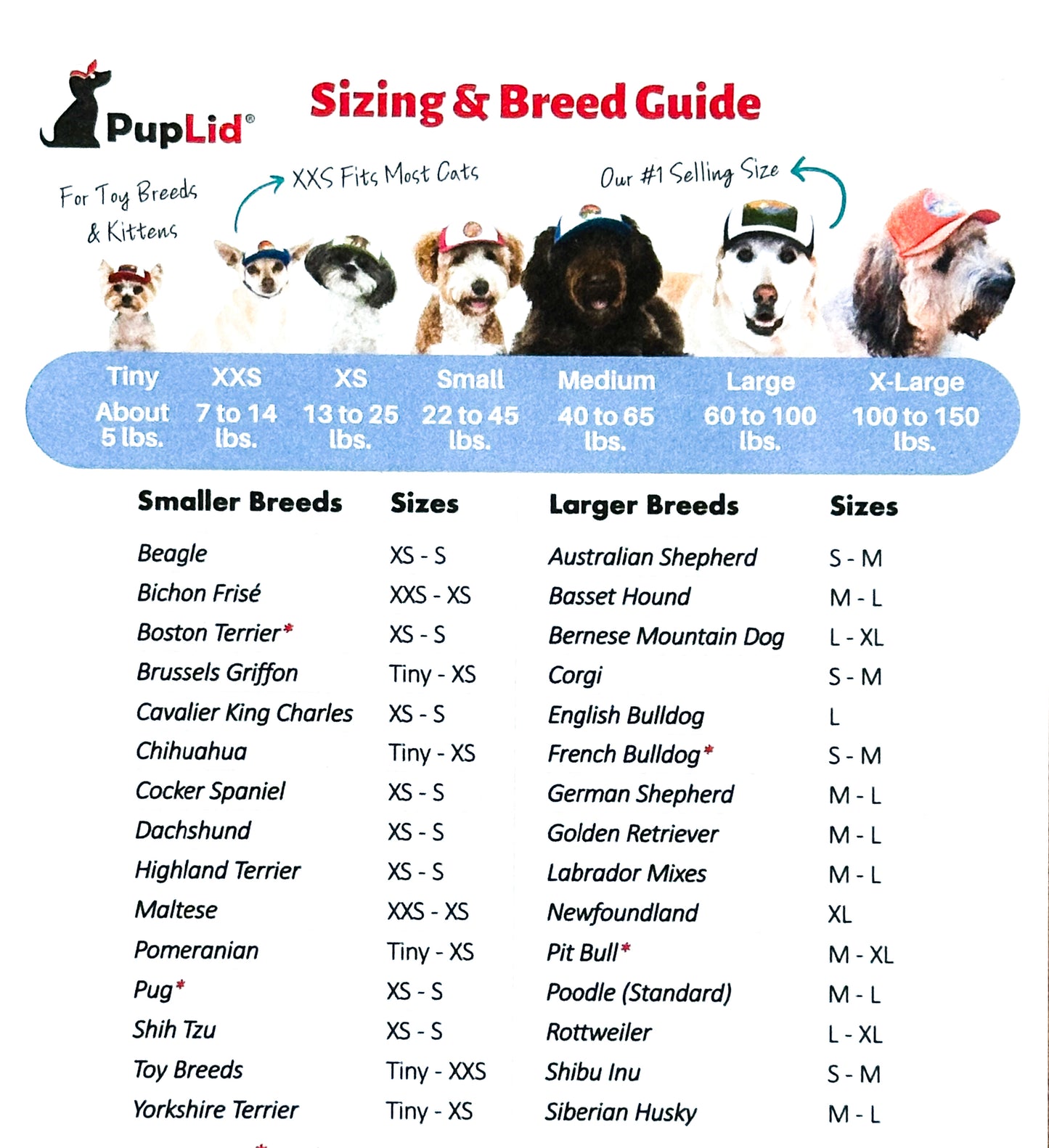 PupLid Pink & White Foam Trucker