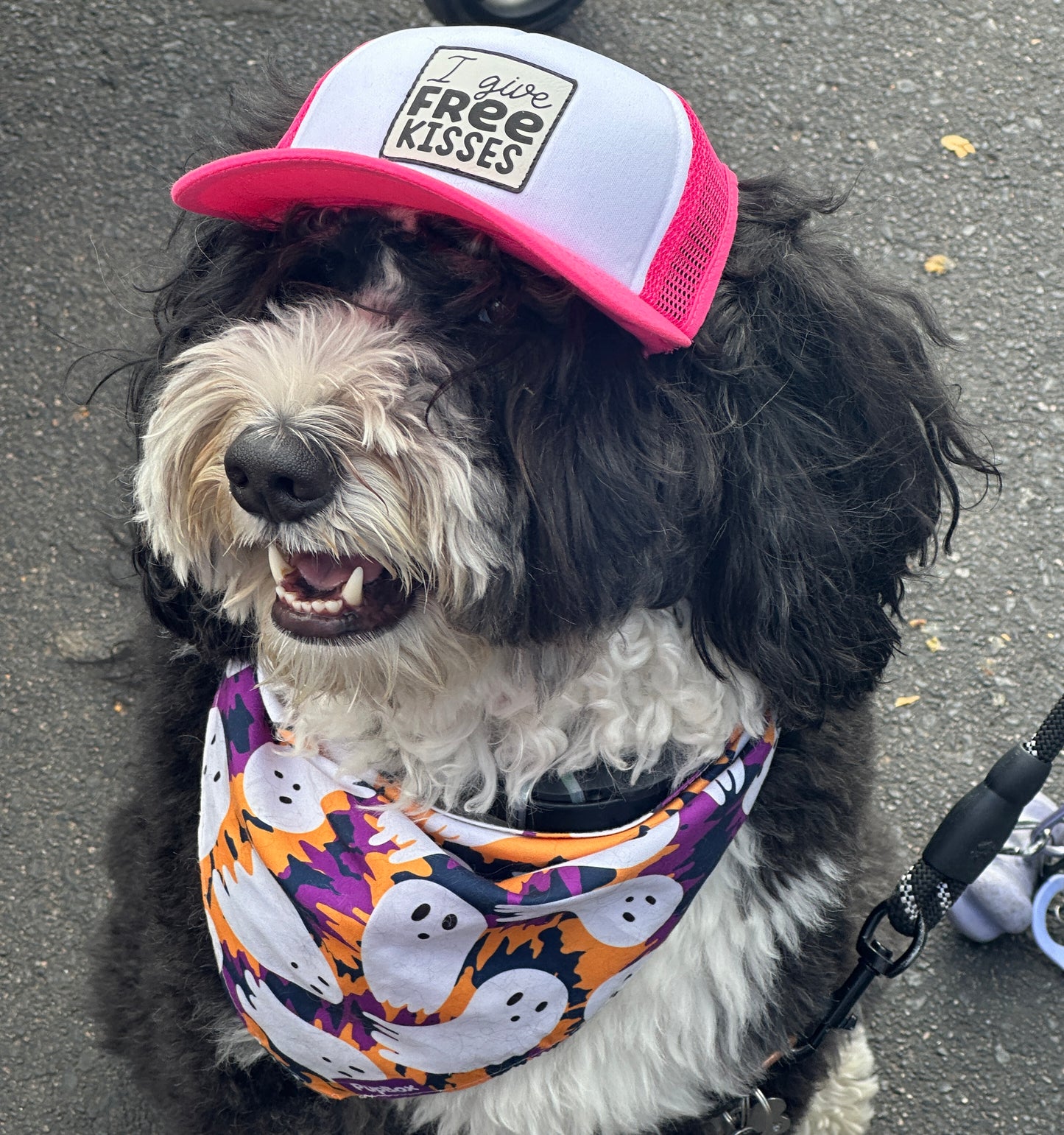 PupLid Pink & White Foam Trucker