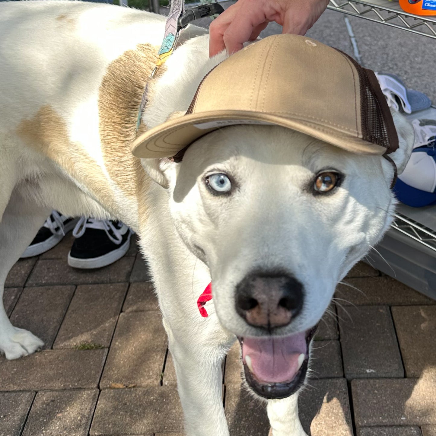 PupLid Khaki Brown Baseball Cap